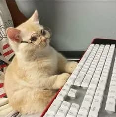 A cute cat wearing glasses is sitting in front of a keyboard, looking at the screen. The cat seems to be working or studying. The image is well-lit and the cat is the main focus.