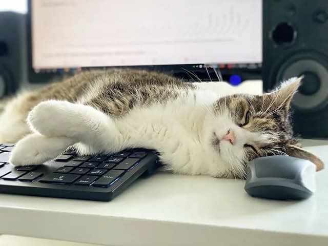 A tabby cat is sleeping peacefully on a computer keyboard. The cat is lying on its side, with its paws crossed and eyes closed. A computer monitor and speakers are visible in the background. The scene conveys a sense of relaxation and comfort.